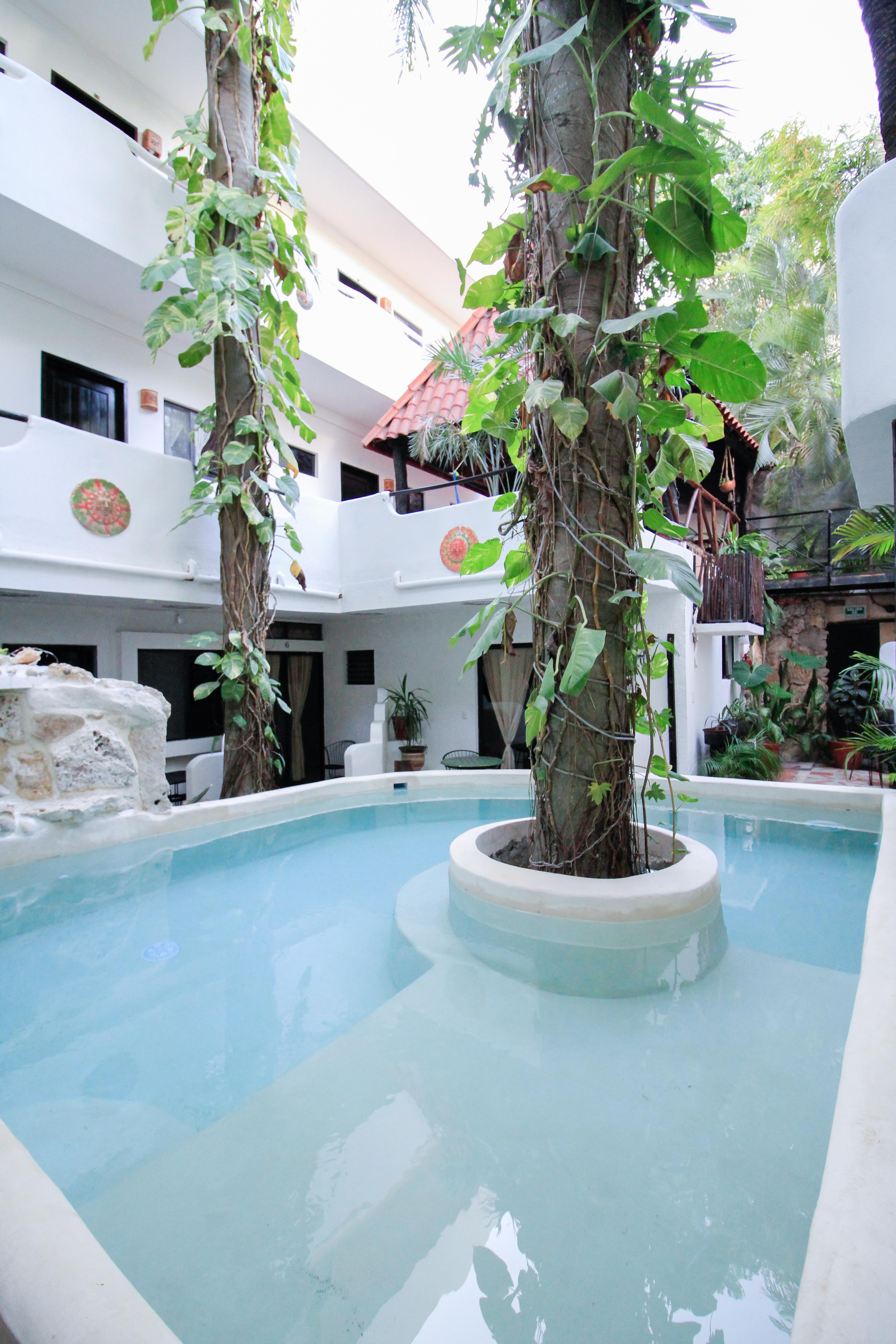Moonshine Hotel Playa del Carmen Extérieur photo