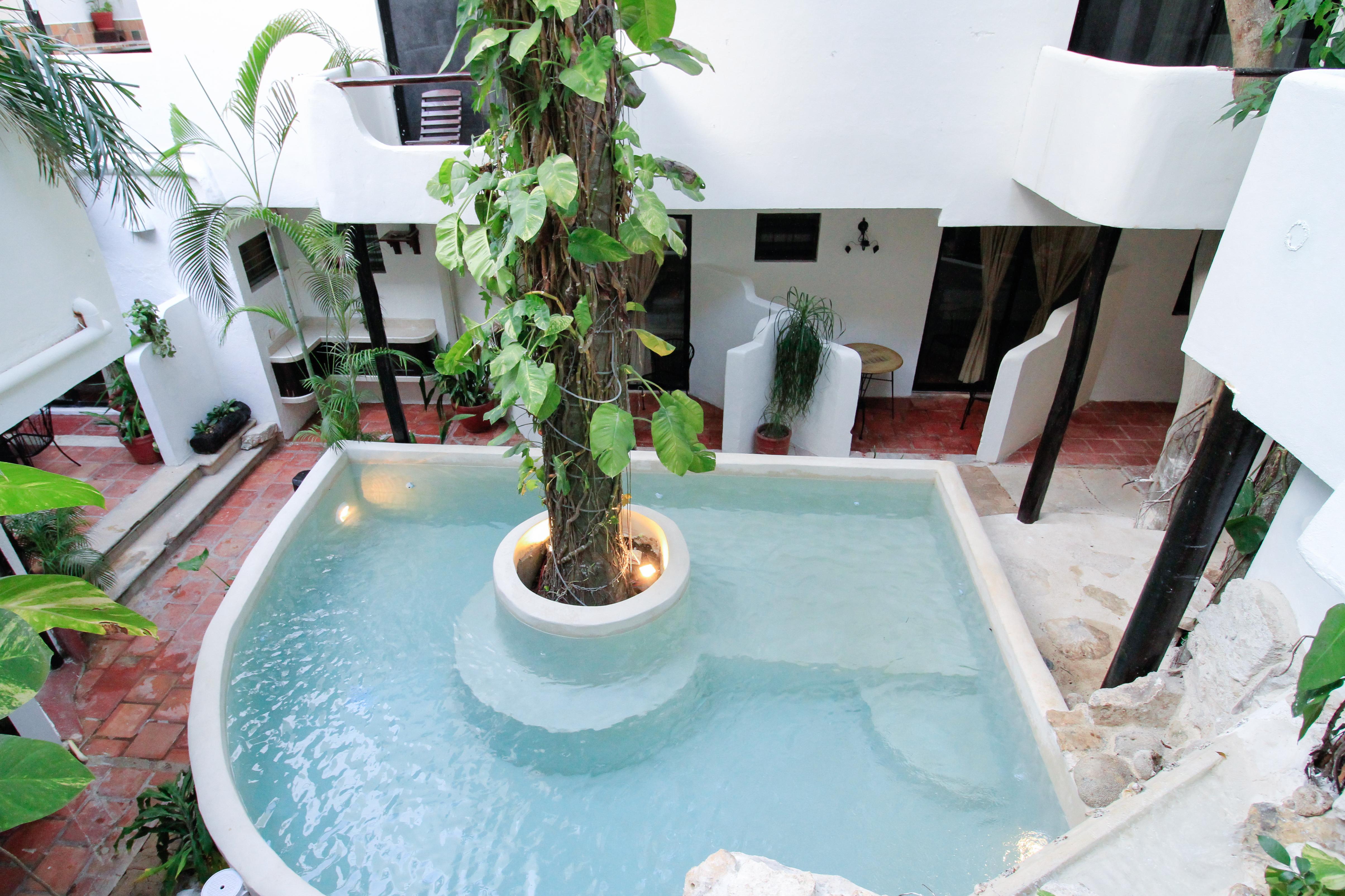 Moonshine Hotel Playa del Carmen Extérieur photo