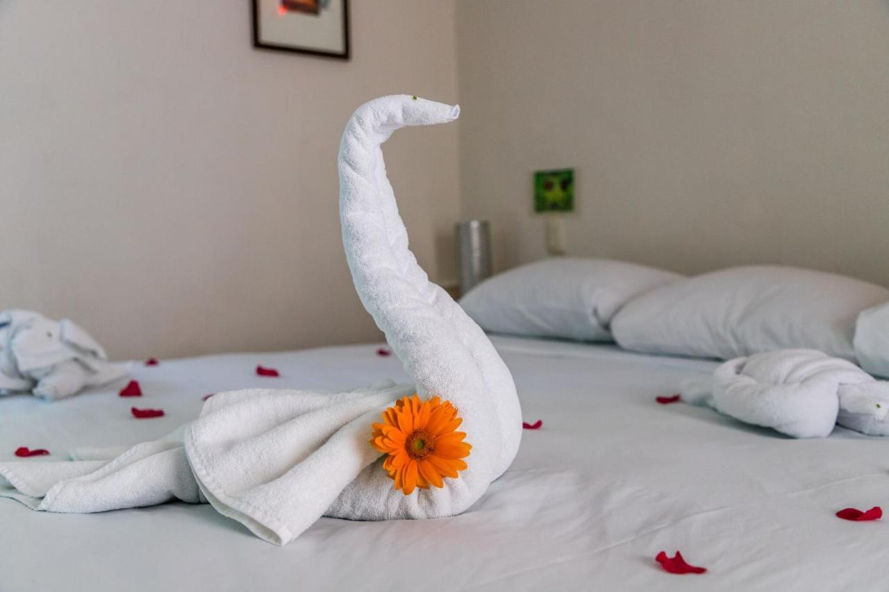 Moonshine Hotel Playa del Carmen Extérieur photo