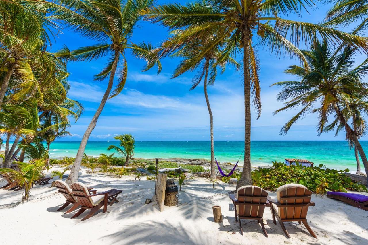 Moonshine Hotel Playa del Carmen Extérieur photo